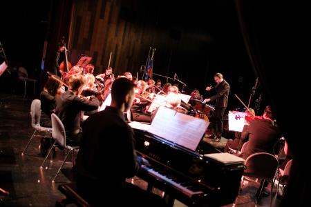 Dan samostojnosti Krško 068